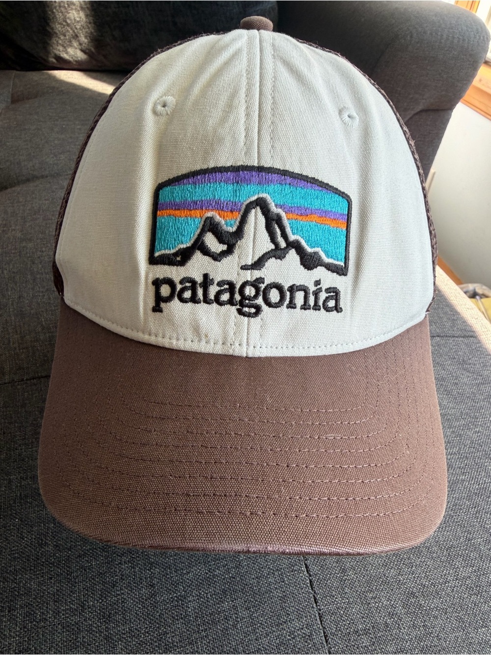 Patagonia Kids Trucker Hat - Brown & Cream with Multicolor Logo
